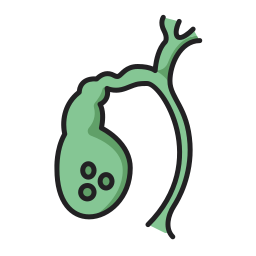 Gallbladder icon