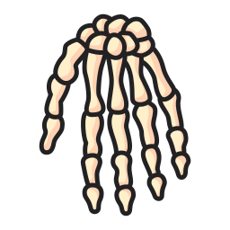 Hand bones icon