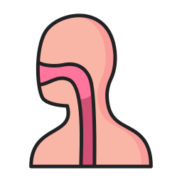 咽頭 icon