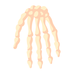 kości dłoni ikona