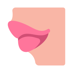 labios icono