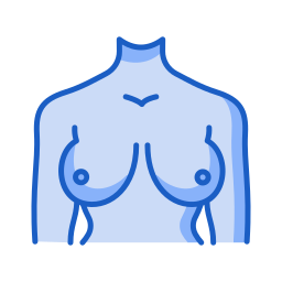 Breast icon