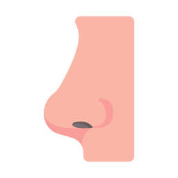 Нос иконка