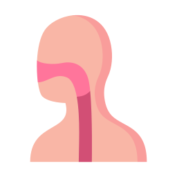 Pharynx icon