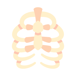 caixa torácica Ícone