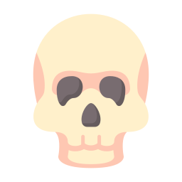 Skull icon