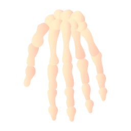 kości dłoni ikona