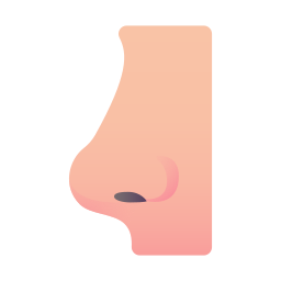 Nose icon