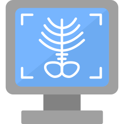 röntgenfoto icoon