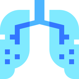 肺炎 icon