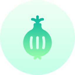 Onion icon