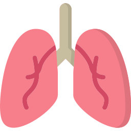 pulmones icono