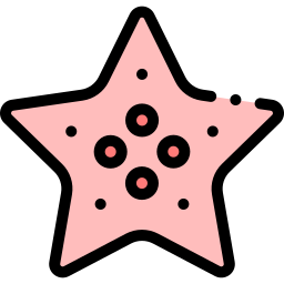 estrella de mar icono