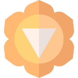 Solar plexus icon