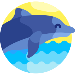 dolfijn icoon