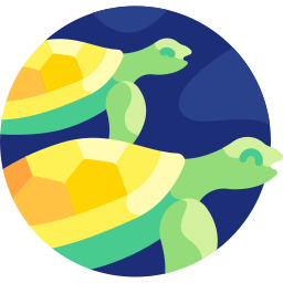 tartaruga di mare icona