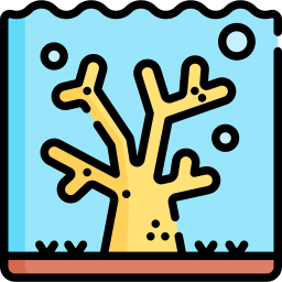 Coral icon