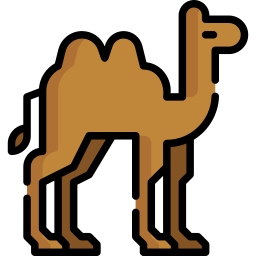 camelo Ícone