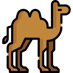 Camel icon