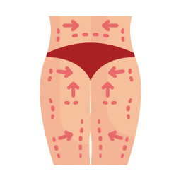 anatomia Ícone