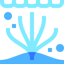 Coral icon