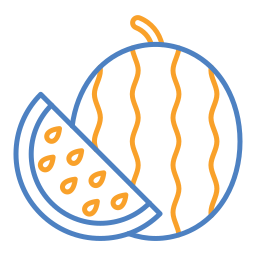 wassermelone icon