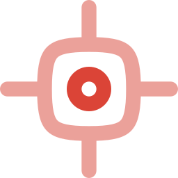 Focus icon