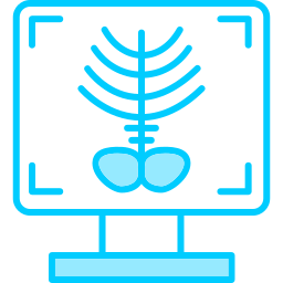 Рентгеновский снимок иконка