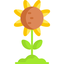 sonnenblume icon