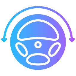 Steering wheel icon