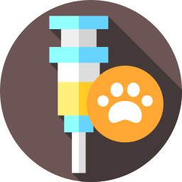 Vaccine icon