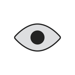 ojo icono