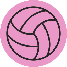 volleybal icoon