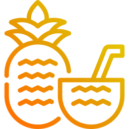 succo di ananas icona