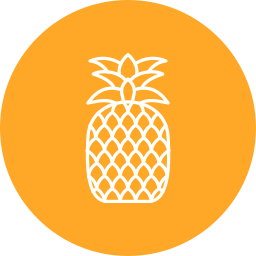 ananas icoon