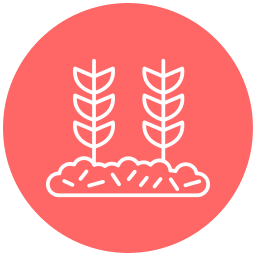 Wheat plant icon