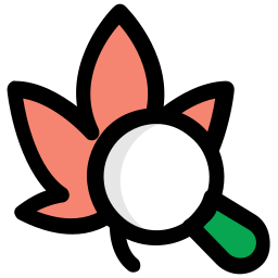 자연 검색 icon