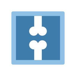 X-ray icon