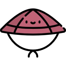 Kasa icon