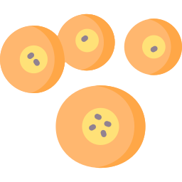 cellula staminale icona
