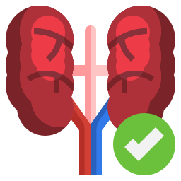 Kidney icon