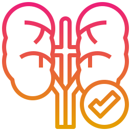 Kidney icon