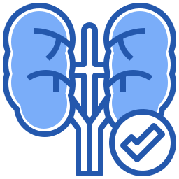 Kidney icon