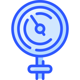 Gauge icon