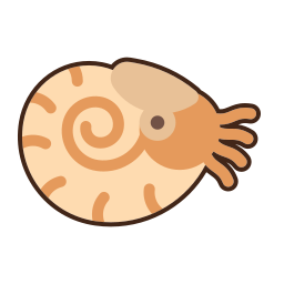 nautilo icono