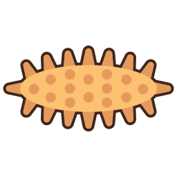 concombre de mer Icône