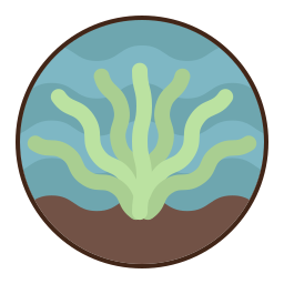 algas marinas icono