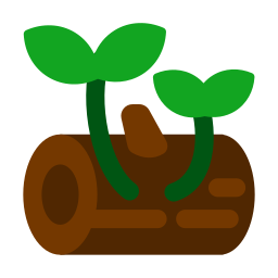Grow plant icon