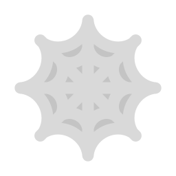 Spider web icon