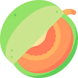 cantaloup-melone icon